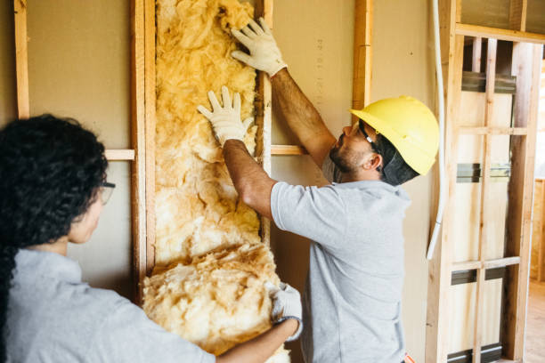 Best Attic Insulation Installation  in Swartzville, PA